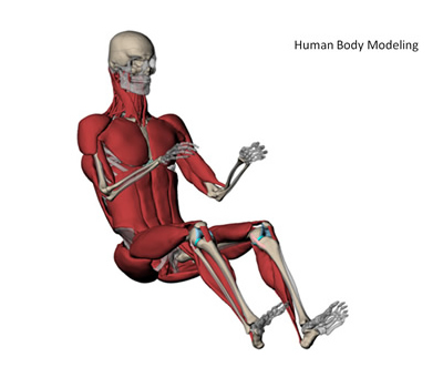Human Body Modeling